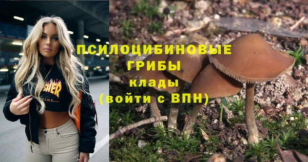 MDMA Premium VHQ Бронницы